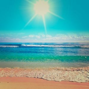 Meet your Posher, Bee 🐝